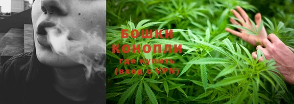 прущая мука Дмитров